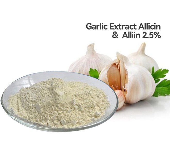 Garlic Extract 0.5%-20% Alliin